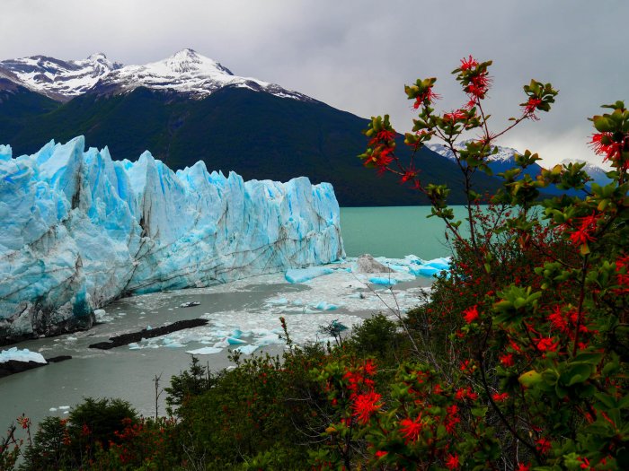 Argentina - Glaciers in Patagonia